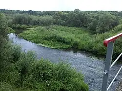 Вид с железнодорожного моста на станции Талька на речку Талька.