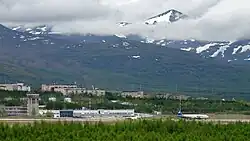 В начале лета