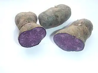 Клубни сорта