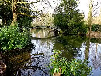 Парк и пруд