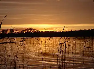 Вечер на озере летом 2008 года.