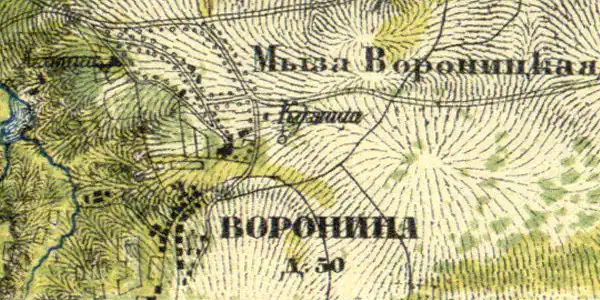 План деревни Воронино, 1860 год