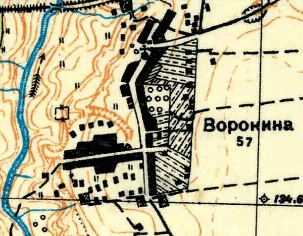 План деревни Воронино. 1930 год