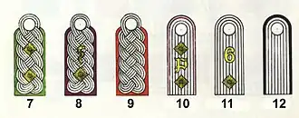 Погоны офицеров Вермахта (на род войск указывает цвет подкладки или канта вокруг погона:7. Полковник (панцергренадер);8. Оберфельдветеринар (подполковник — ветеринарный врач);9. Майор (артиллерия);10. Гауптман (противотанковые войска);11. Оберлейтенант (6-й пехотный полк);12. Лейтенант (инженер).