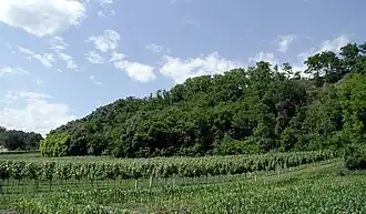 Около Штеттельдорфа-ам-Ваграм