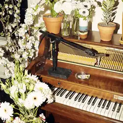 Обложка песни Лана Дель Рей ««Wait for Life»»