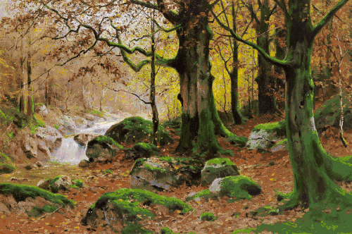 Осенний лесной пейзаж.