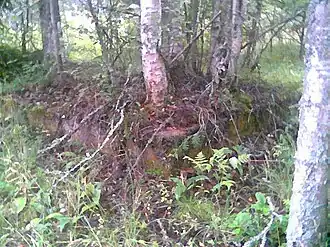 Один из фундаментов усадьбы Вейсса. Лето 2006 года.