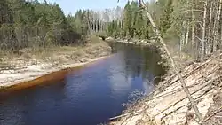 Белый Лух в 2 км ниже устья Торзати, май 2019