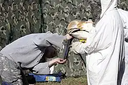 Измерение длины цевки у американского журавля линейкой