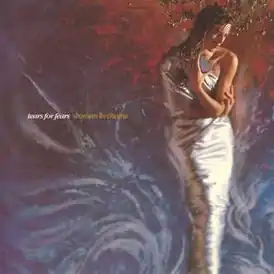 Обложка сингла Tears for Fears совместно с Олетой Адамс[англ.] «Woman in Chains» ()