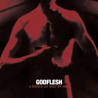 Обложка альбома Godflesh «A World Lit Only by Fire» (2014)