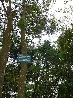 Общий вид и ствол