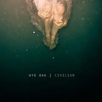Обложка альбома Wye Oak «Civilian» (2011)