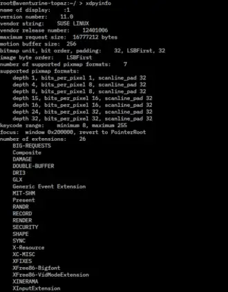 Скриншот программы X.Org Server