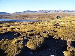 Вид на один из притоков Бух-Гола