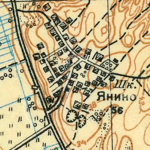 План деревни Янино-2. 1931 год