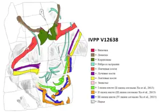 Диаграмма с указанием сохранившихся элементов
