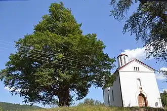 Запис и церковь