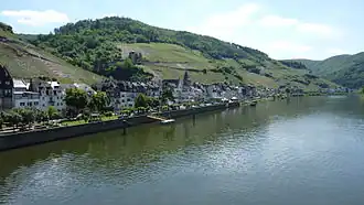 Виноградники в районе «Шварце Катц»