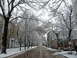 Зима 2013 года