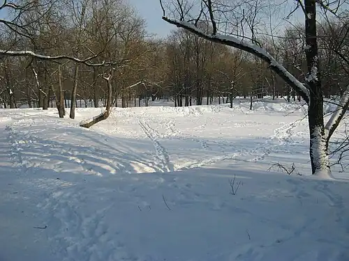 Замёрзшее верхнее озеро (февраль 2011 г.)