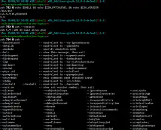 Скриншот программы Zsh